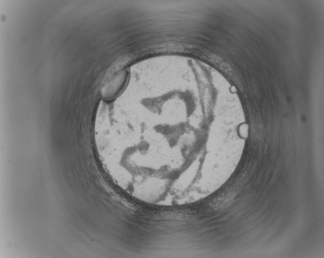 X0000075810625200610151430