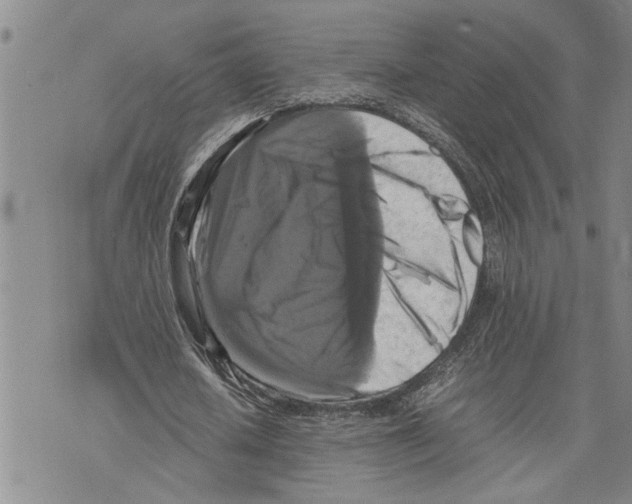 X0000075810626200610151430