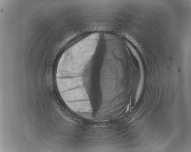 X0000075810627200610151430