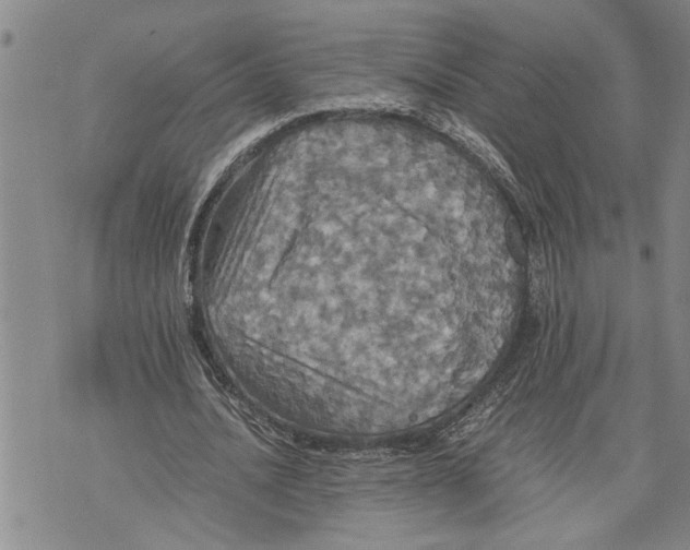 X0000075810628200610151430