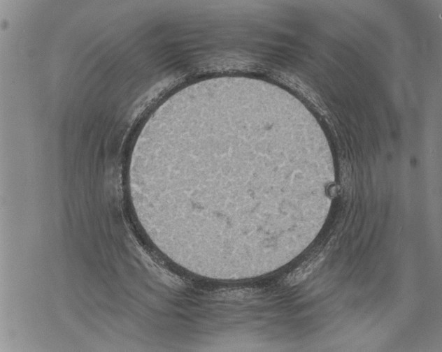 X0000075810629200610151430