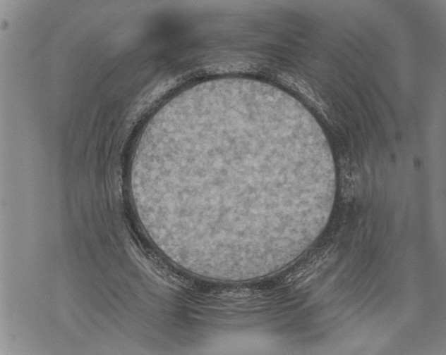 X0000075810631200610151430