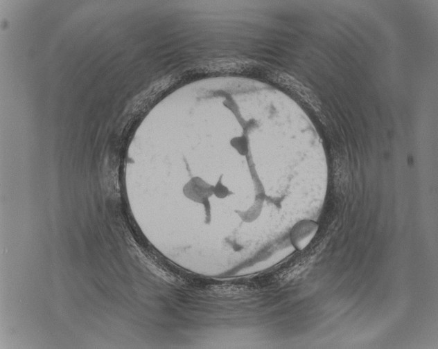 X0000075810633200610151430