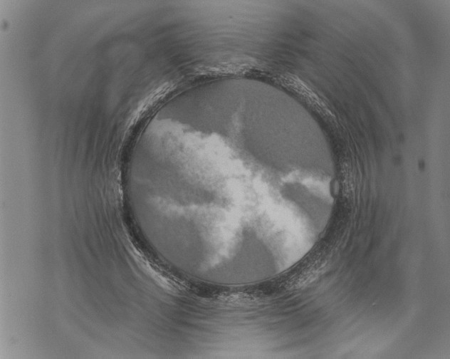 X0000075810634200610151431