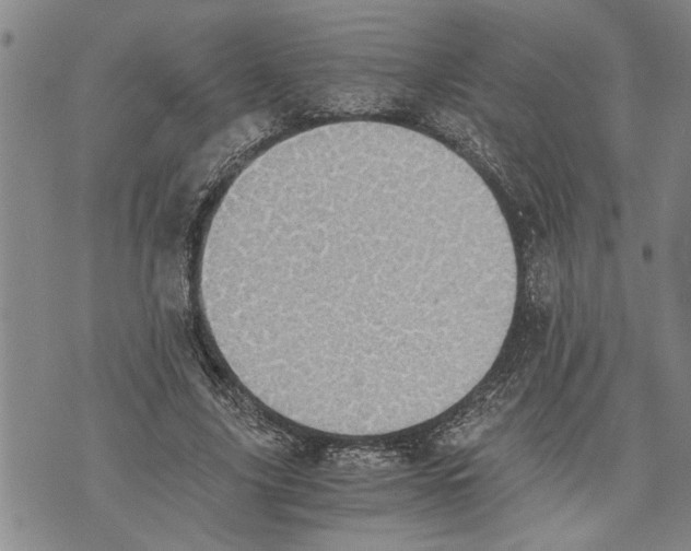 X0000075810635200610151431