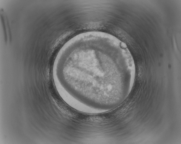 X0000075810636200610151431