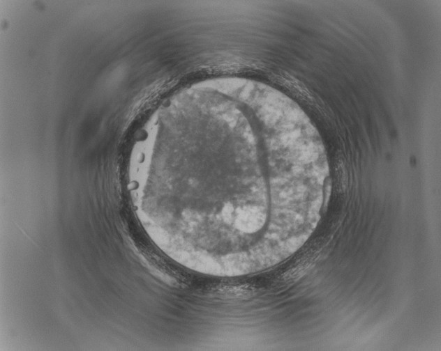 X0000075810638200610151431