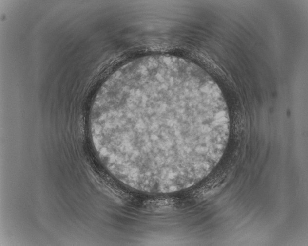 X0000075810639200610151431