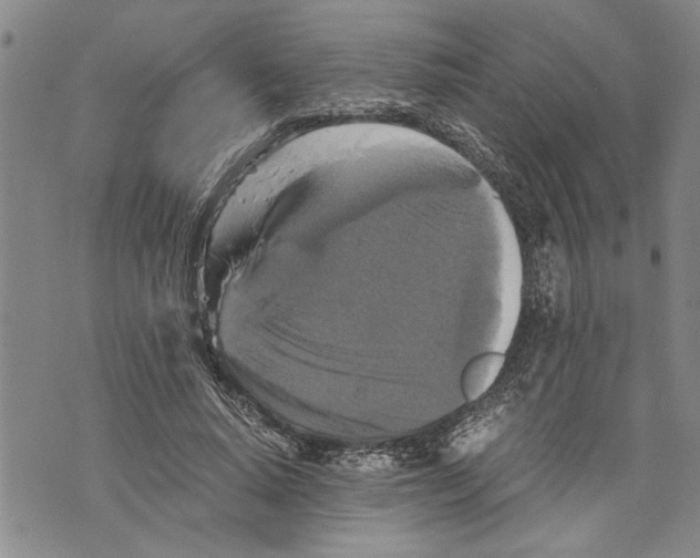 X0000075810640200610151431