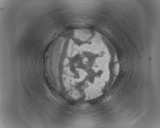 X0000075810642200610151431