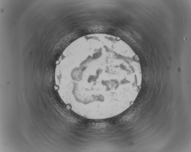 X0000075810645200610151431