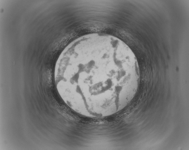 X0000075810646200610151431