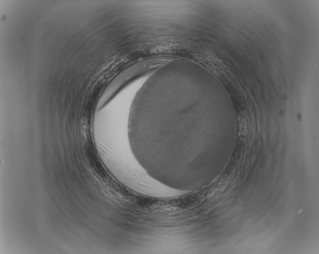 X0000075810648200610151431