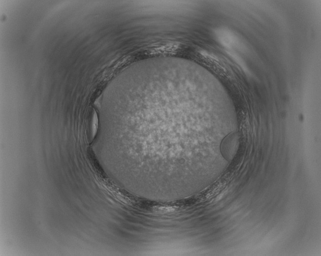 X0000075810649200610151431