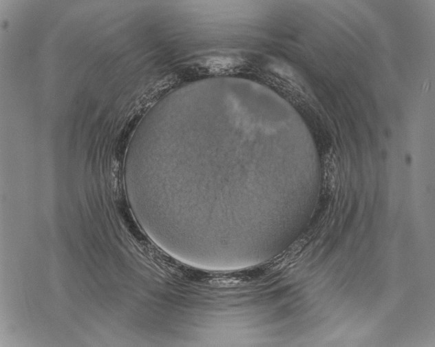 X0000075810650200610151431