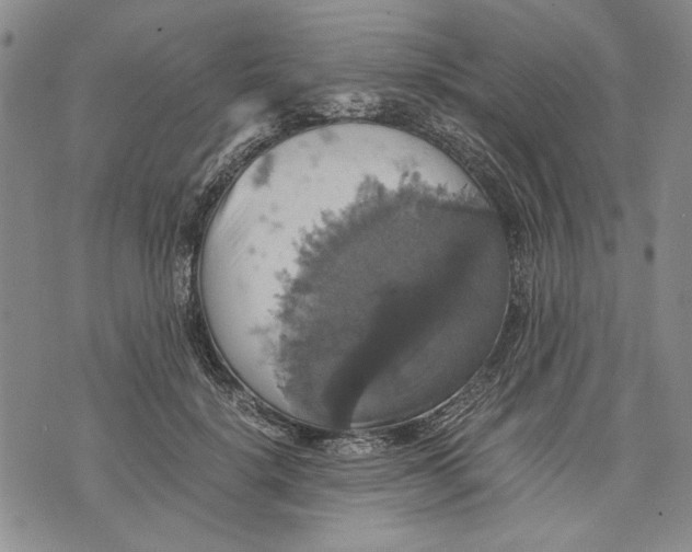 X0000075810652200610151431