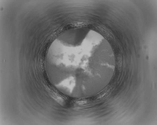 X0000075810653200610151431