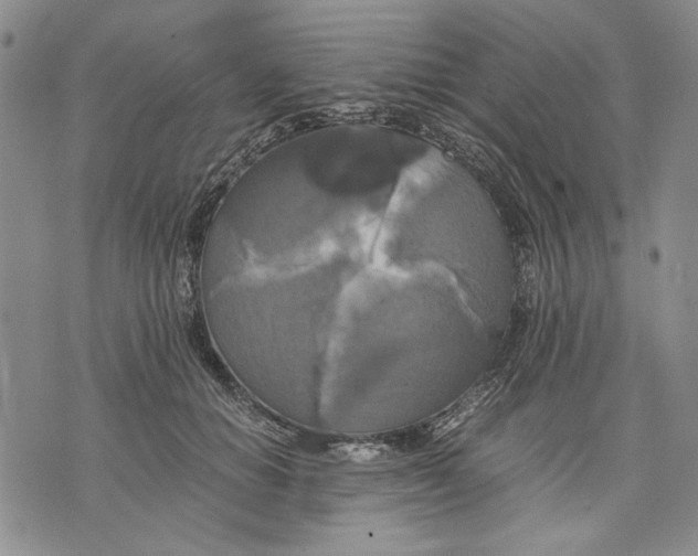 X0000075810654200610151431