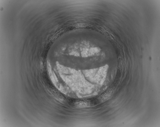 X0000075810655200610151431