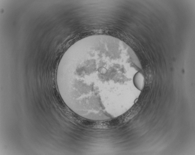 X0000075810656200610151431