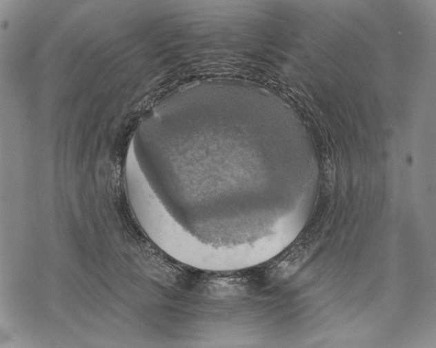 X0000075810657200610151431