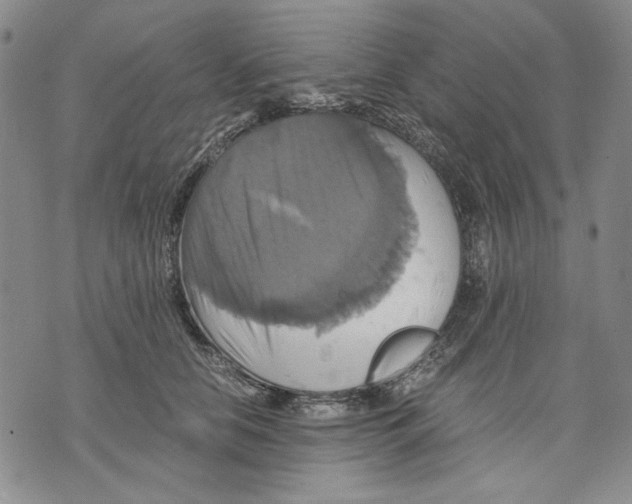 X0000075810658200610151431