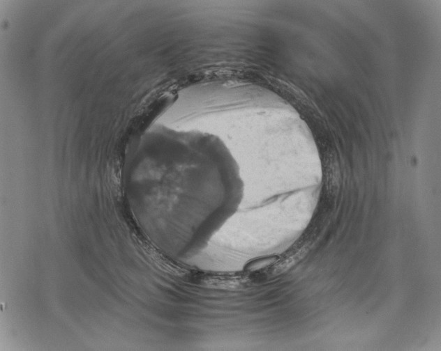 X0000075810661200610151431