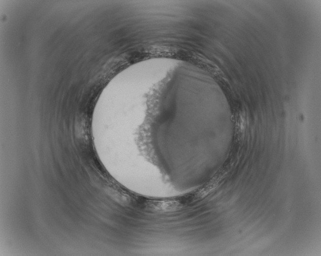 X0000075810663200610151431