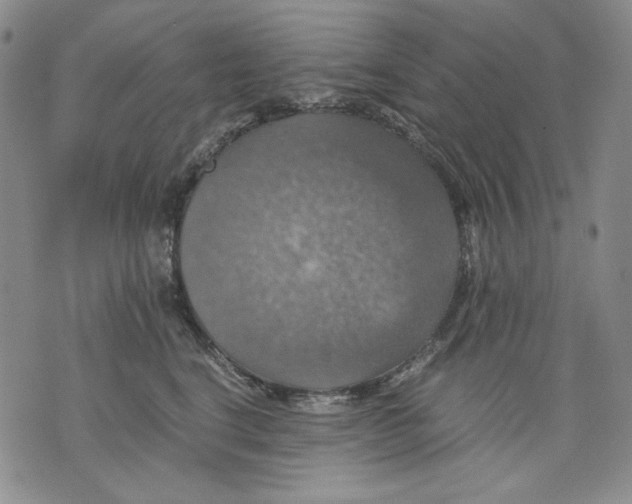 X0000075810664200610151431