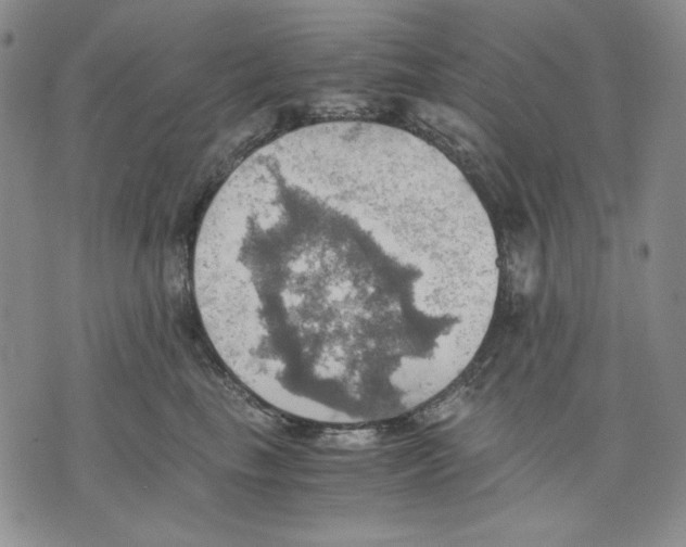 X0000075810665200610151431