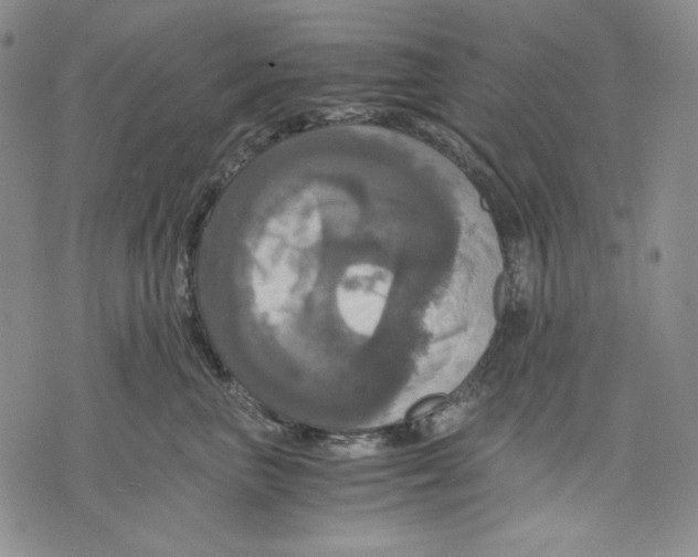 X0000075810667200610151431