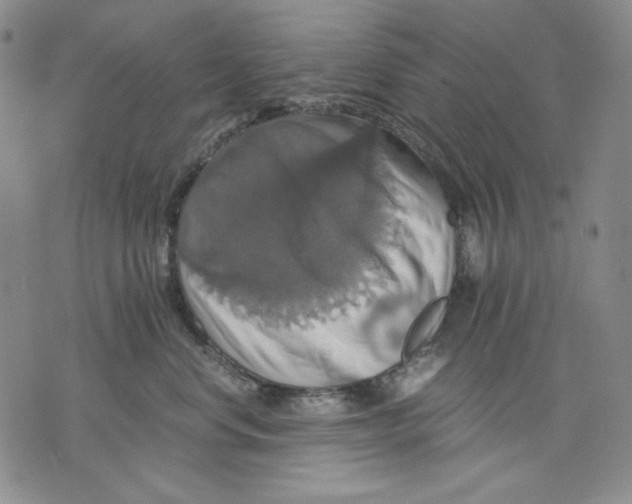 X0000075810668200610151431