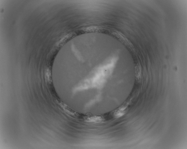 X0000075810669200610151431