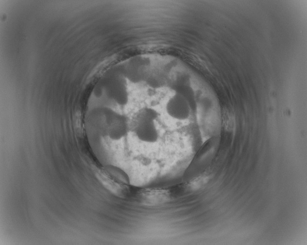 X0000075810670200610151431