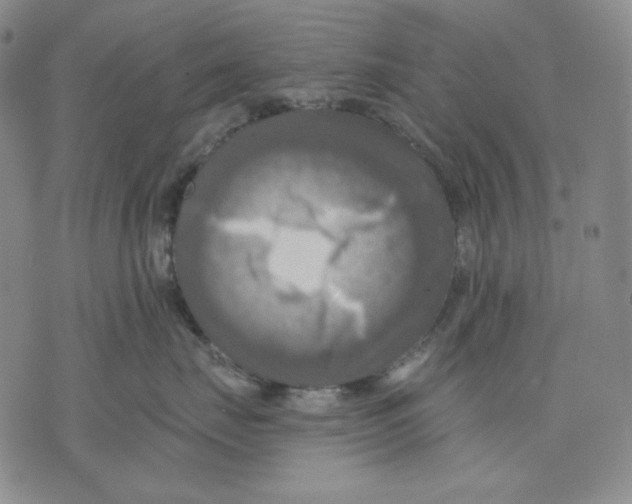 X0000075810671200610151431