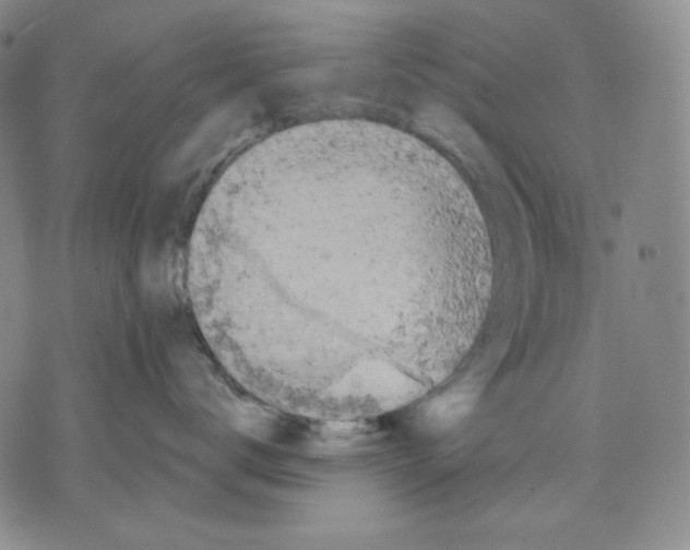 X0000075810672200610151431