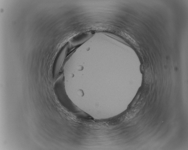 X0000075810673200610151430