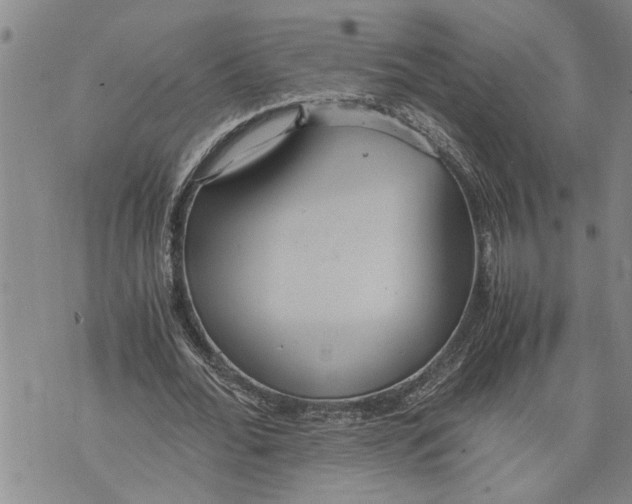 X0000075810676200610151430