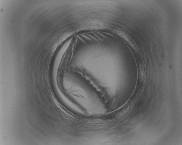 X0000075810677200610151430