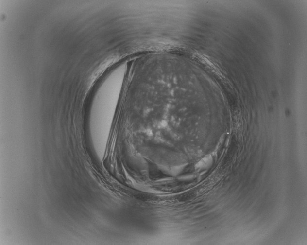 X0000075810679200610151430