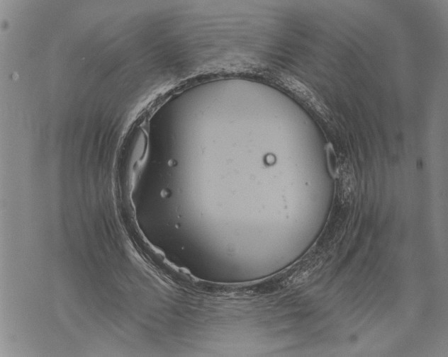 X0000075810680200610151430