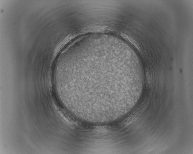 X0000075810682200610151430