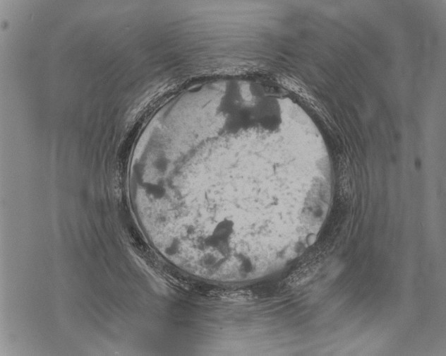 X0000075810683200610151430