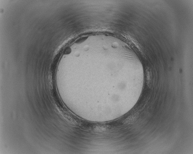 X0000075810684200610151430