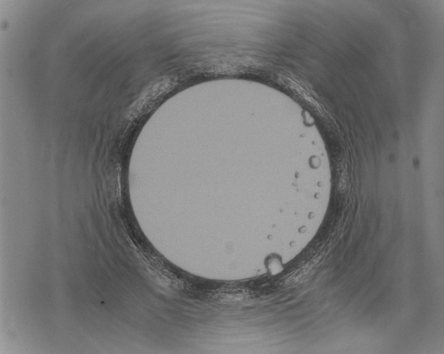 X0000075810685200610151430