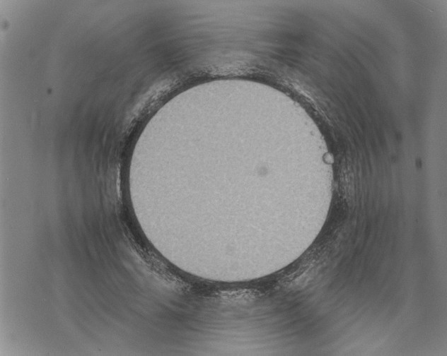 X0000075810686200610151430