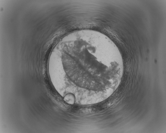 X0000075810687200610151430