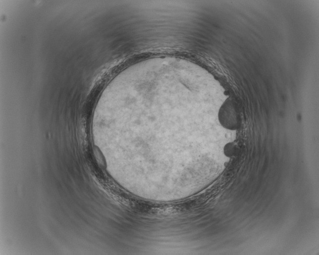 X0000075810688200610151430