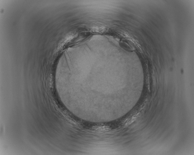 X0000075810689200610151430