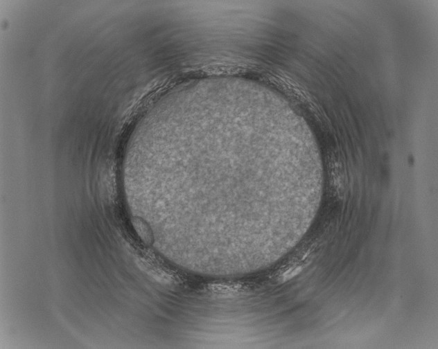 X0000075810690200610151430